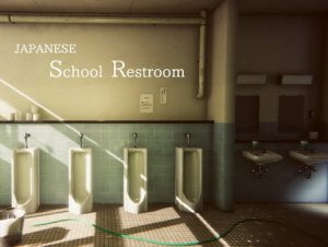 Read more about the article Japanese School Restroom
