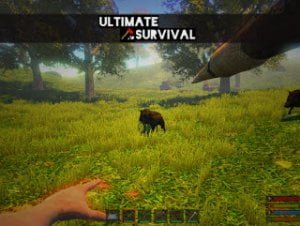 Read more about the article Ultimate Survival