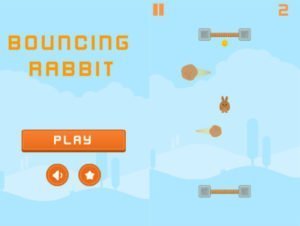 Read more about the article Bouncing Rabbit