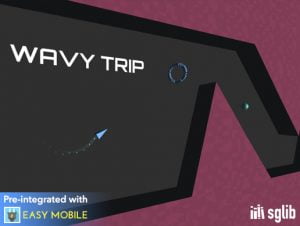 Read more about the article Wavy Trip
