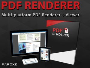 Read more about the article PDF Renderer