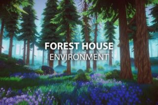You are currently viewing Forest House Environment 