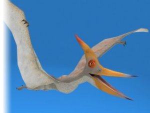 Read more about the article Pteranodon Dinosaur