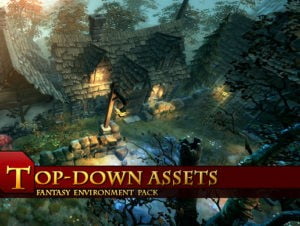Read more about the article Top-Down Assets