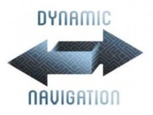 Read more about the article Dynamic Navigation