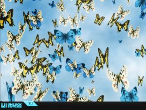 Read more about the article Butterfly Particle System