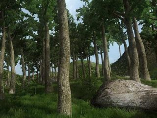 You are currently viewing Tall Trees Forest Pack 1