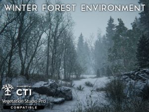 Read more about the article Winter Forest Environment