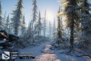 Read more about the article Winter Environment – Nature Pack