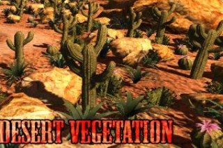 You are currently viewing Desert Vegetation Pack