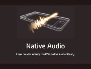 You are currently viewing Native Audio
