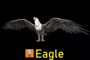 Read more about the article Animal Monster – Eagle