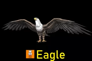 You are currently viewing Animal Monster – Eagle