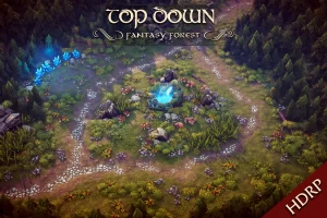 Read more about the article Top Down – Fantasy Forest – RTS & MOBA (HDRP)