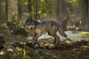 Read more about the article Realistic Wolf