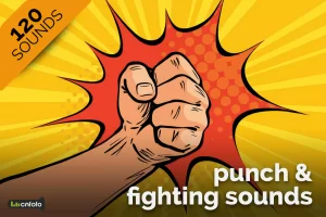 Read more about the article Punch and Fighting Sounds