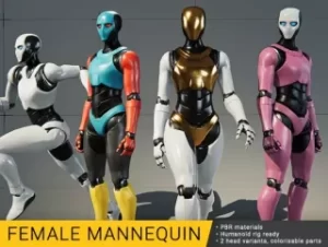 Read more about the article Female Mannequin (Humanoid rig)