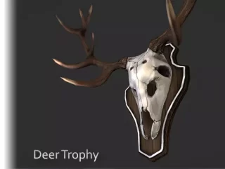 Read more about the article Deer Trophy Decoration