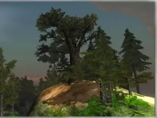 You are currently viewing Detail Trees