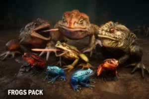 Read more about the article Frogs pack