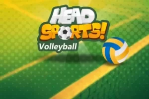 Read more about the article Head Sports Volleyball