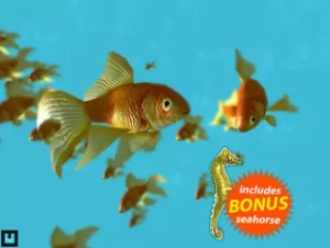 Read more about the article Fish School Goldfish