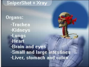 Read more about the article Sniper Xray Pack