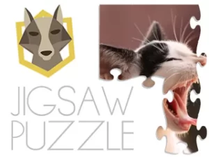 Read more about the article Jigsaw puzzle – Template game (With ads)