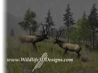 You are currently viewing North American Elk